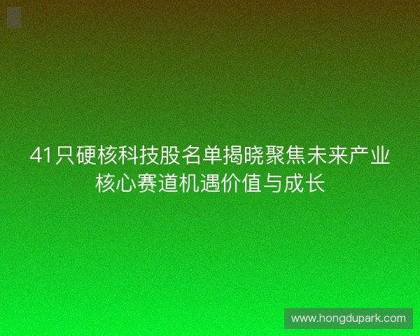 41只硬核科技股名单揭晓聚焦未来产业核心赛道机遇价值与成长 41只硬核科技股名单揭晓聚焦未来产业核心赛道机遇价值与成长